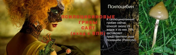каннабис Алексин
