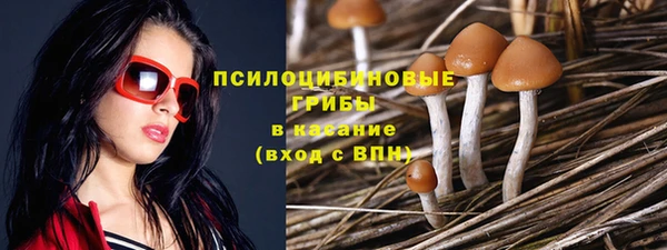 2c-b Аркадак