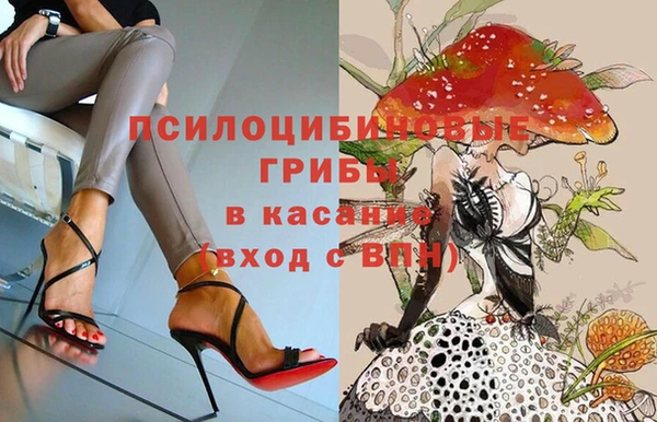 СК Алексеевка