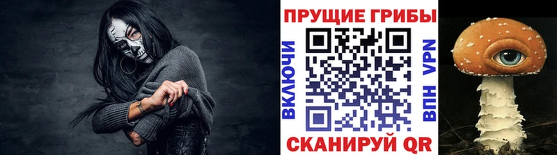 Галлюциногенные грибы GOLDEN TEACHER Грязи