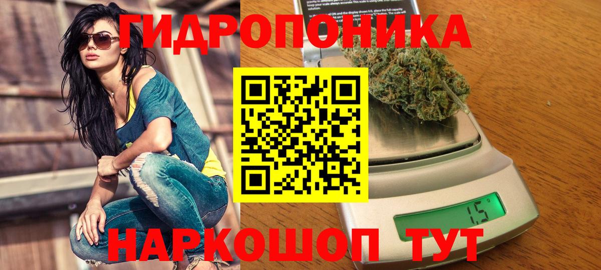 Конопля SATIVA & INDICA Грязи